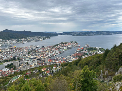 Vidden Tursti-卑尔根必去景点