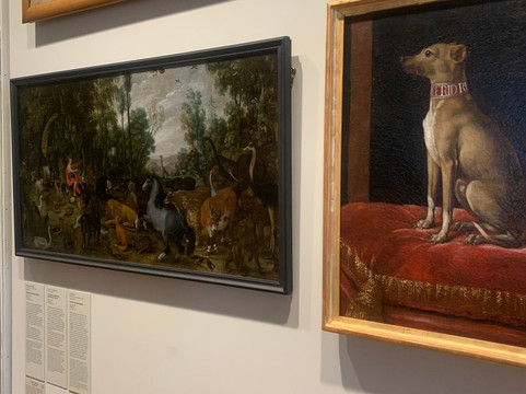 Musée Ingres Bourdelle-蒙托邦必去景点