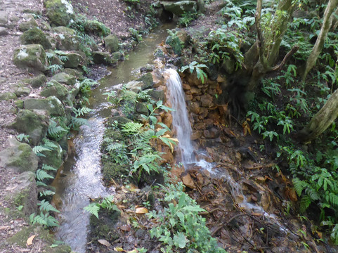 Poco da Ribeira do Ferreiro-Flores必去景点