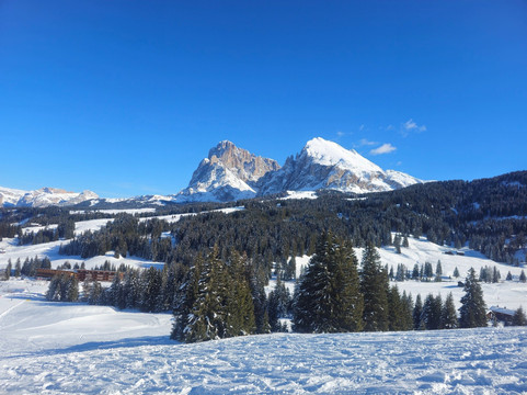 Alpe di Siusi-Alpe di Siusi必去景点