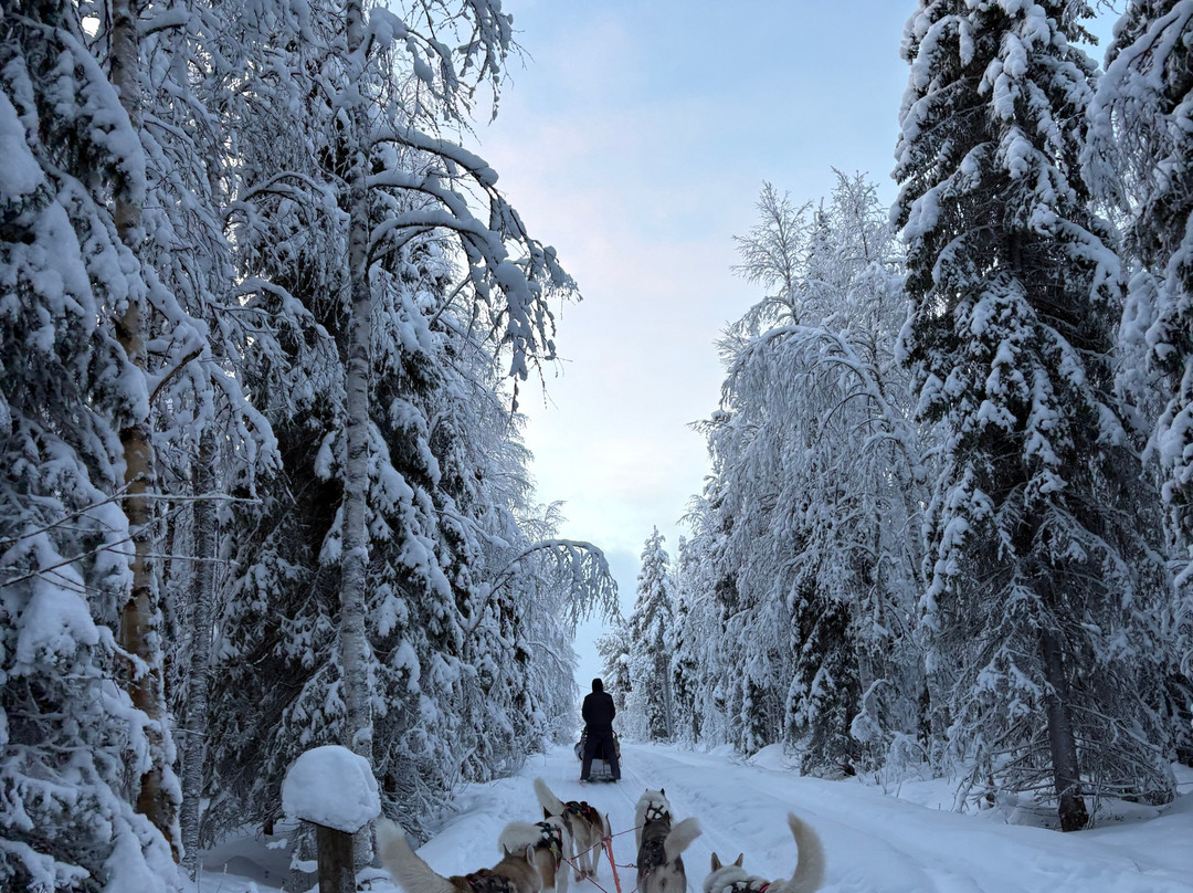 Wolf Trail-罗瓦涅米必去景点