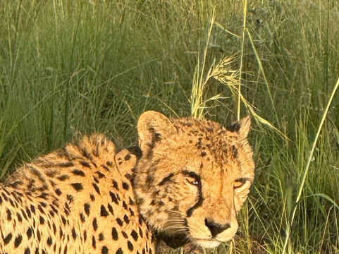 Loisico Tours and Excursions-Bloubergstrand必去景点