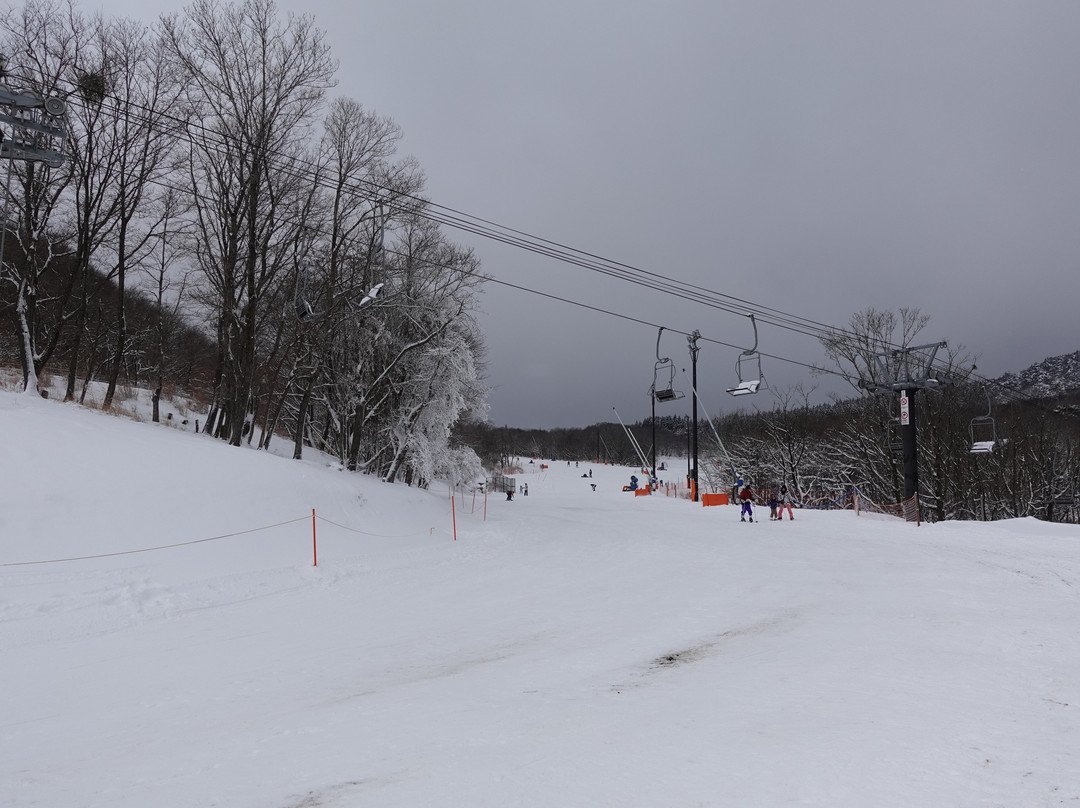 Mineyama Kogen Resort