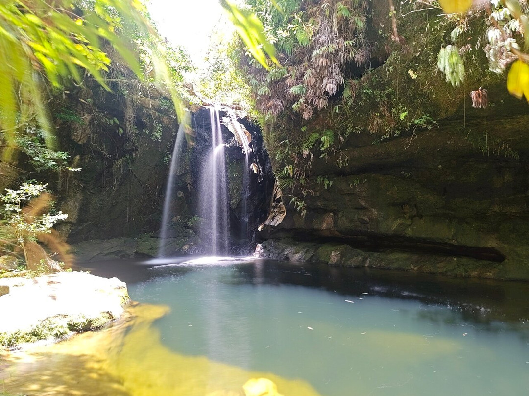Tours in Madagascar with Emmanuel-Miandrivazo必去景点