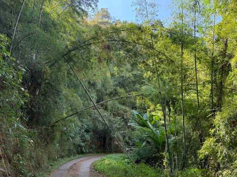 Bike Tour Asia-清迈必去景点