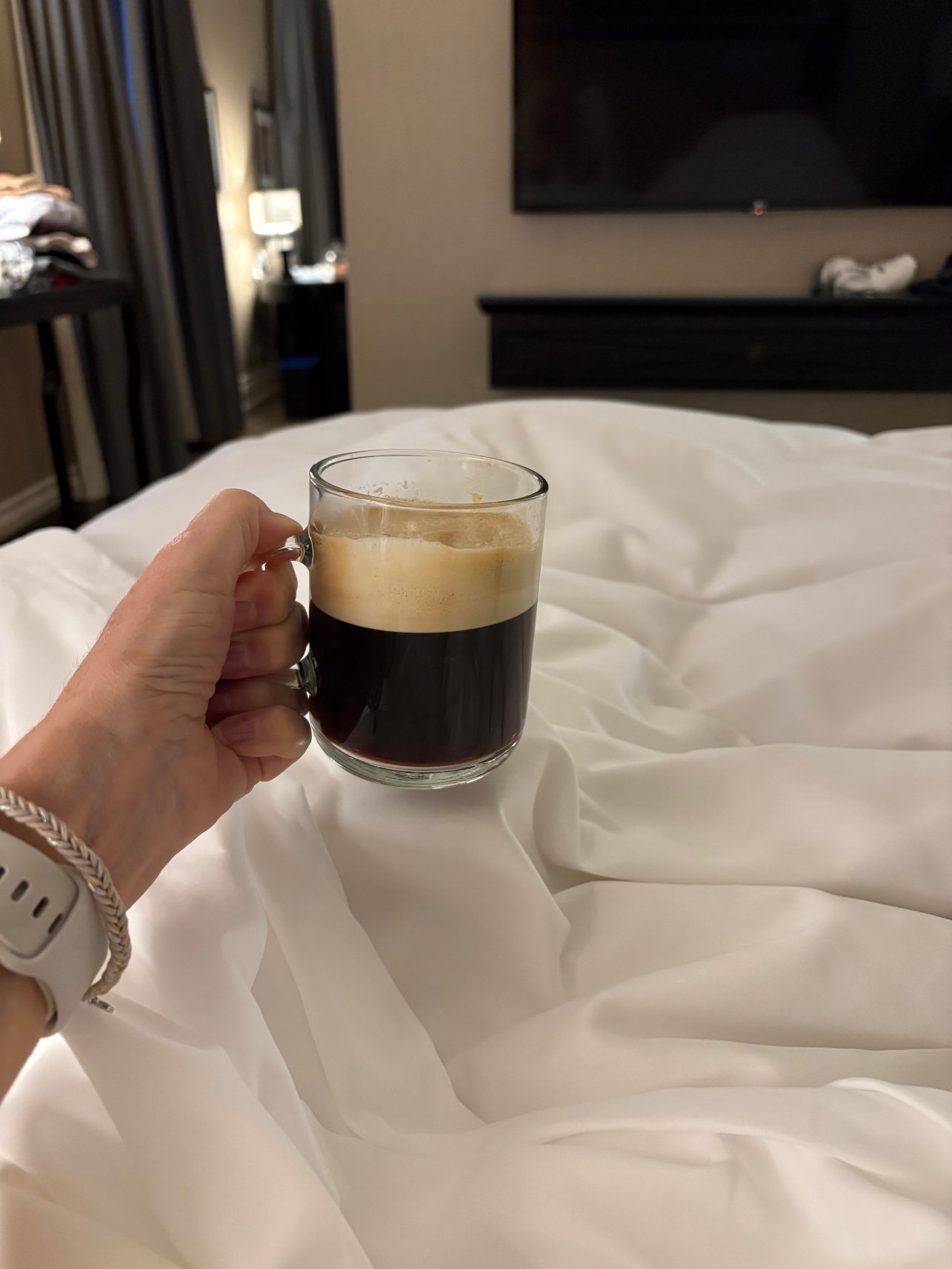 费尔蒙柏丽舍城堡酒店-客卧