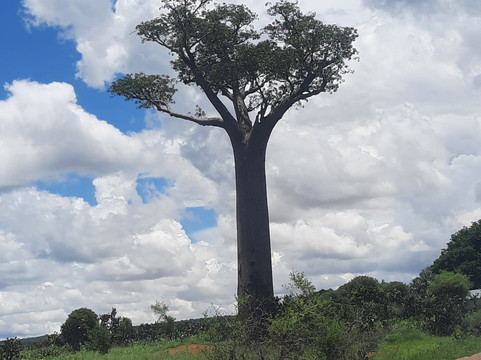 GMT+3 Great Madagascar Tours - Day Tours-安塔那那利佛必去景点