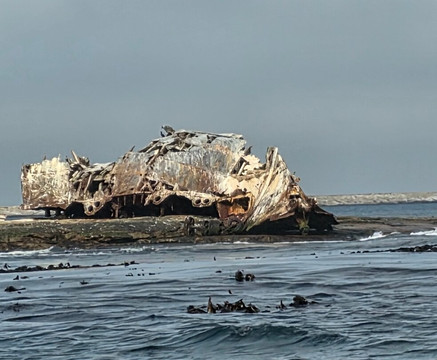 Cape Coast Expeditions-Yzerfontein必去景点