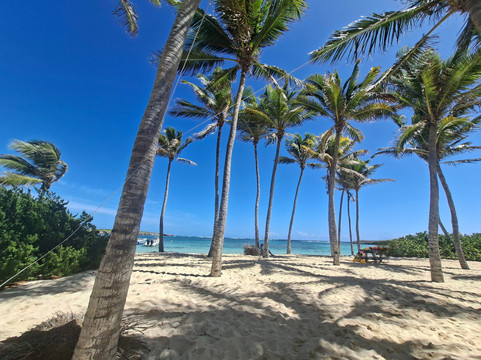 Authentique Excursion-Sainte-Anne必去景点