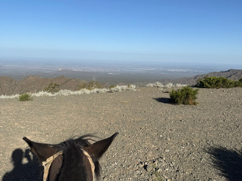 El Relincho Cabalgatas-门多萨必去景点