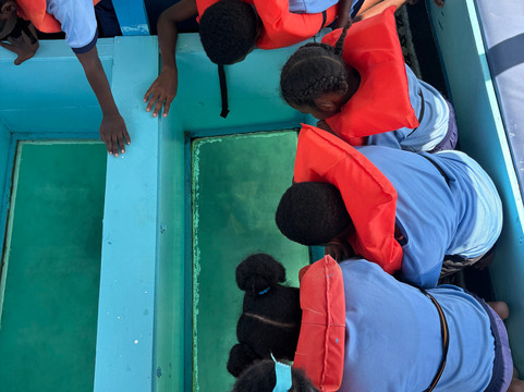 Westwater Adventures Barbados-Saint Thomas Parish必去景点