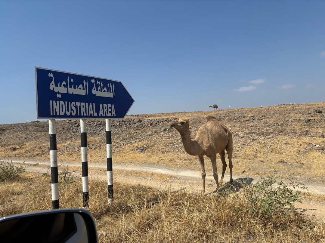 Salalah Safar-塞拉莱必去景点