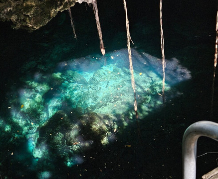 Dressel Divers - Barceló Maya Riviera-Barcelo Maya必去景点