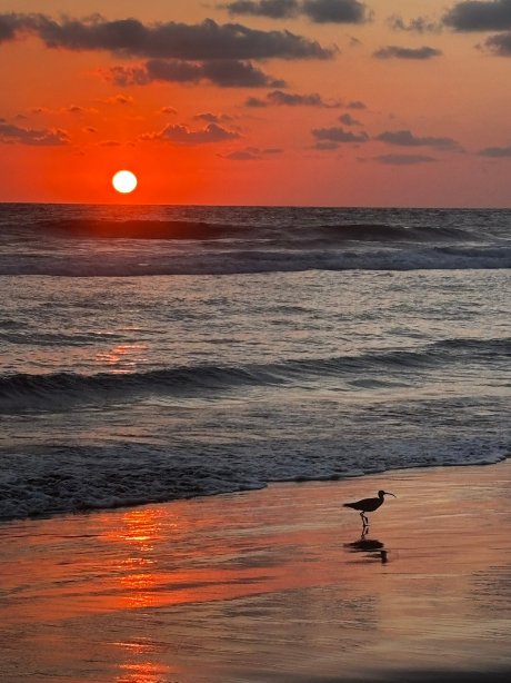 悠享此刻酒店-官方