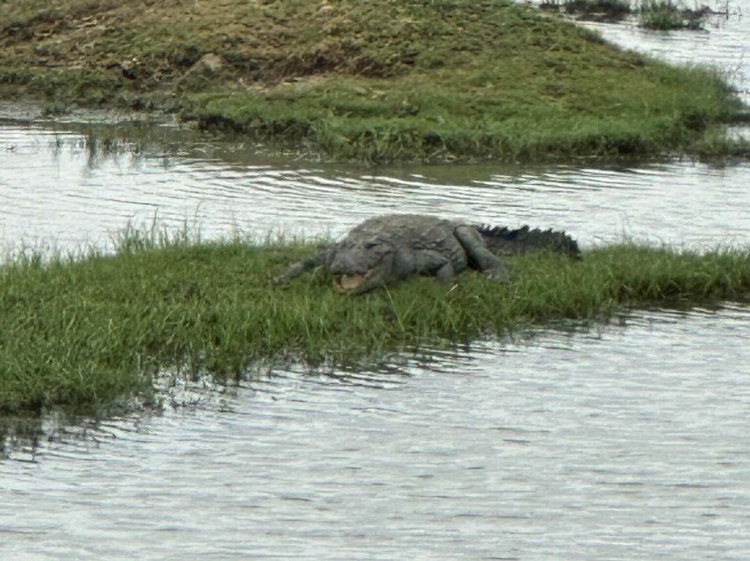 Moon Lanka Tours-希克杜沃必去景点