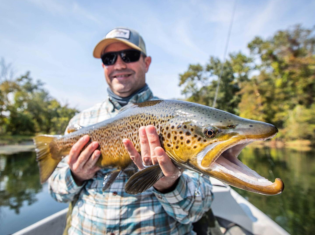 Tailwaters Lodge on the South Holston