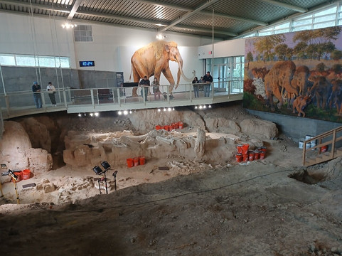 Waco Mammoth National Monument-韦科必去景点