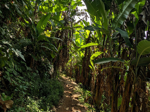 Foret de Missahohe-Kpalime必去景点