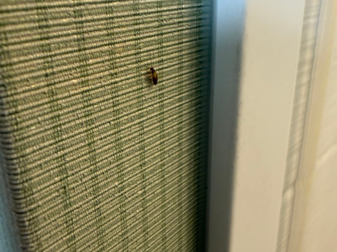 安大略米尔顿希尔顿惠庭套房酒店主图