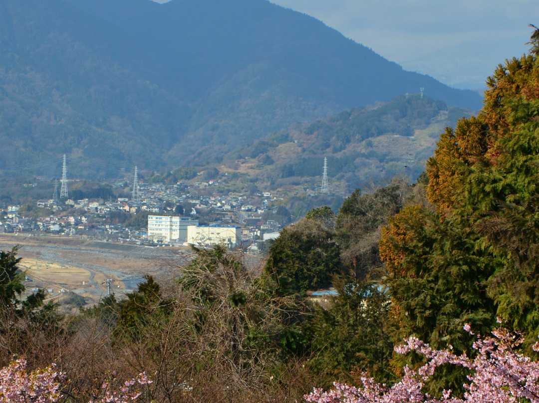 Nishihirahata Park-松田町必去景点