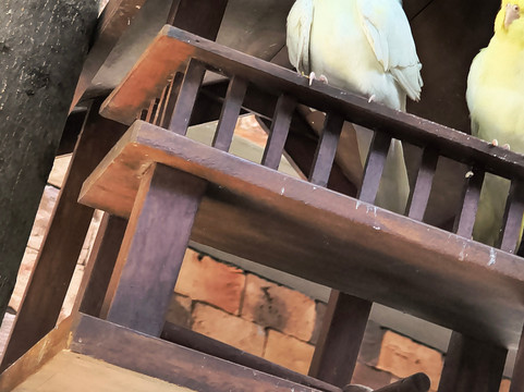 保罗精品酒店主图