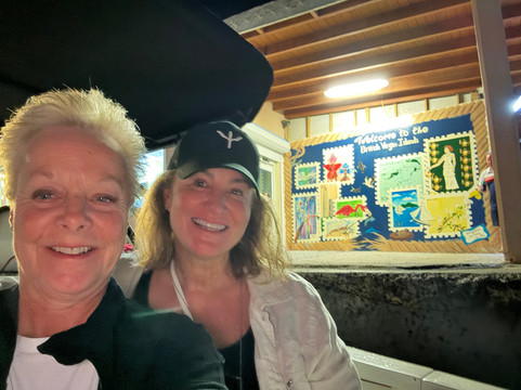 Dolphin Water Taxi-圣 托马斯必去景点