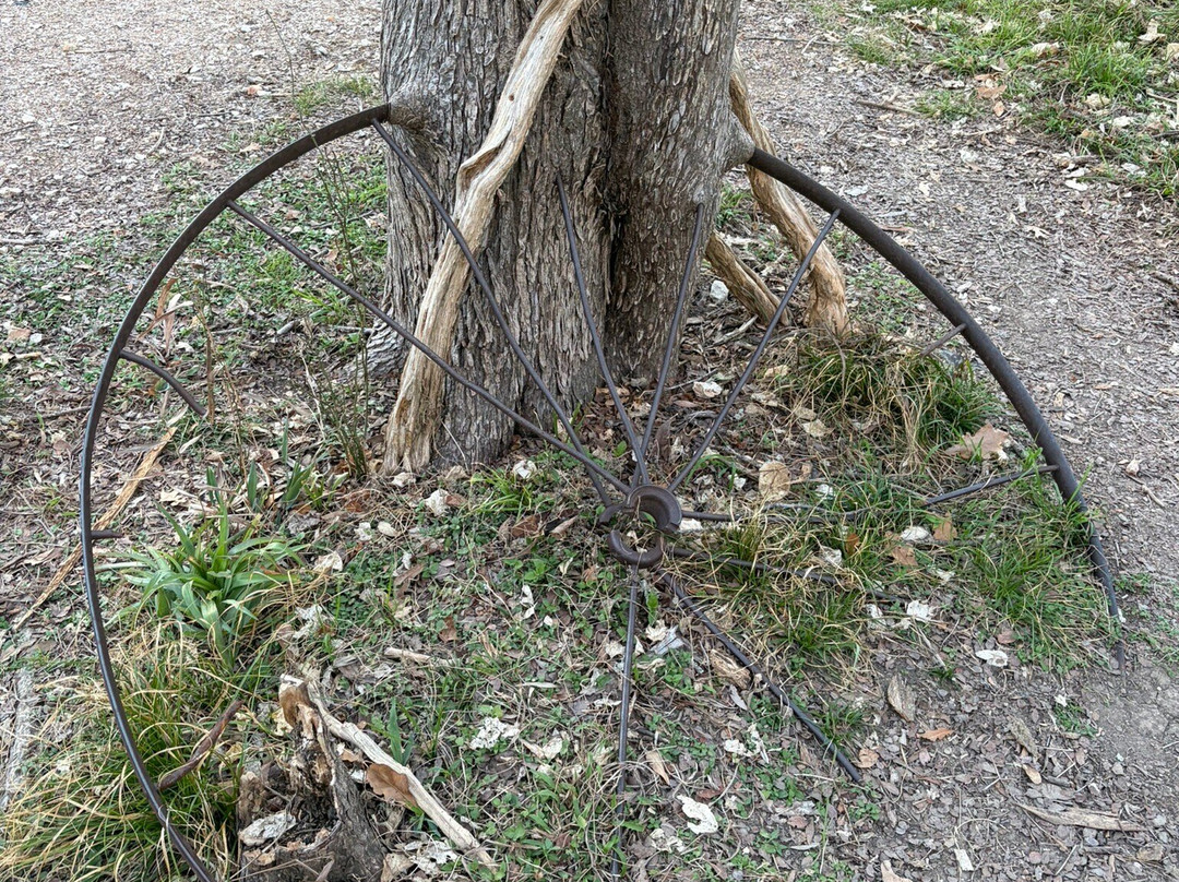 Palmetto State Park-Gonzales必去景点