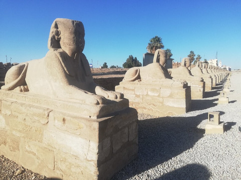 Avenue of Sphinxes-卢克索必去景点