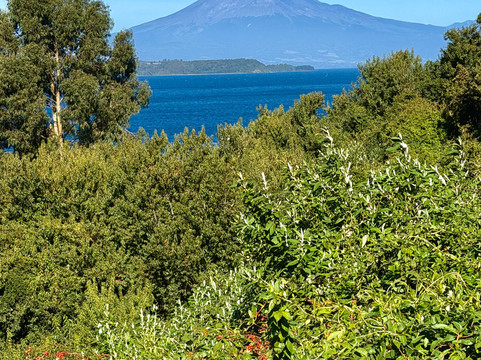 Venture Experiences-纳塔莱斯港必去景点