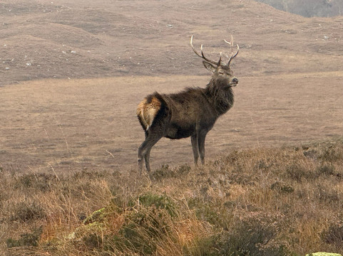 Andrew Sharp Scottish Tours-卡兰德必去景点