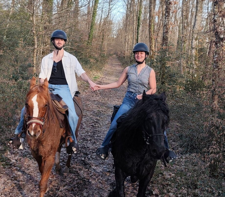 Horse Journey-Saint-Martin-le-Beau必去景点