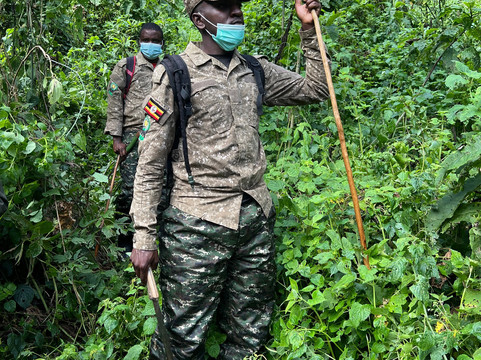 Kisoro Tours Uganda-坎帕拉必去景点