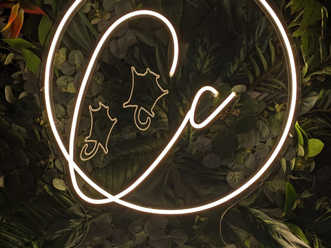 Cuddly Colony-布莱顿必去景点