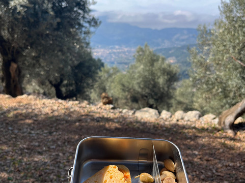 Es Seregalls-Fornalutx必去景点