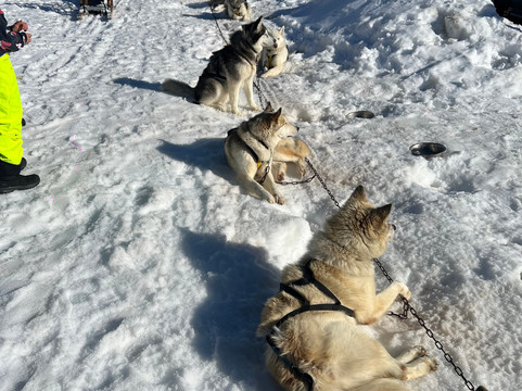 Leila'venture-Molines-en-Queyras必去景点