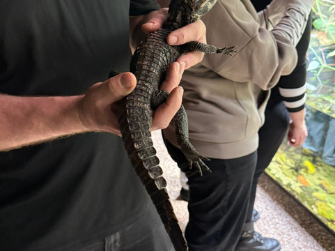 Tropikariet-赫尔辛堡必去景点