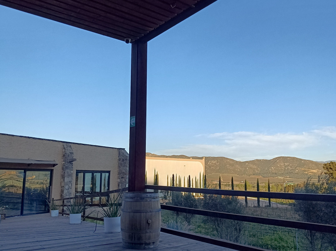 Bodegas Domecq-恩塞纳达必去景点