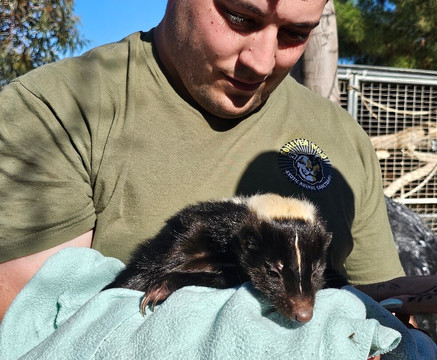 Forever Wild Exotic Animal Sanctuary-Phelan必去景点