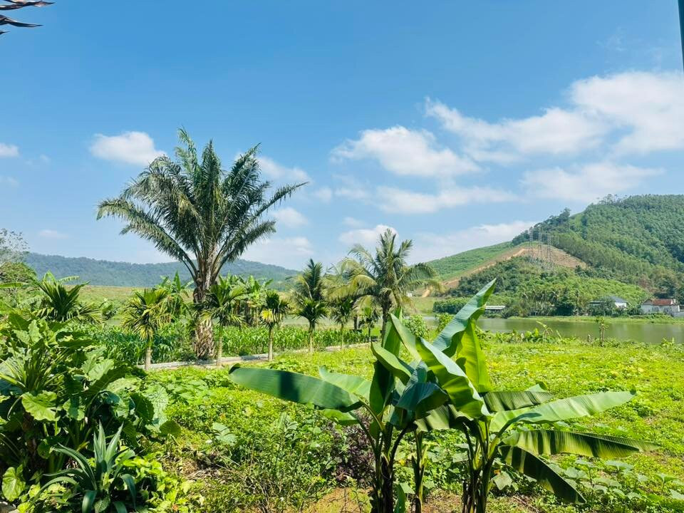Dong Du Lake-Nghia Thuan必去景点
