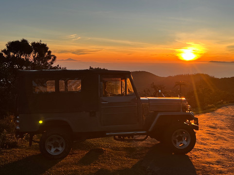 努沃勒埃利耶独树酒店主图