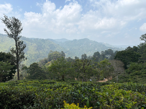 Flying Ravana Adventure Park-埃勒必去景点