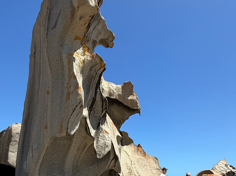 Exceptional Kangaroo Island-袋鼠岛必去景点