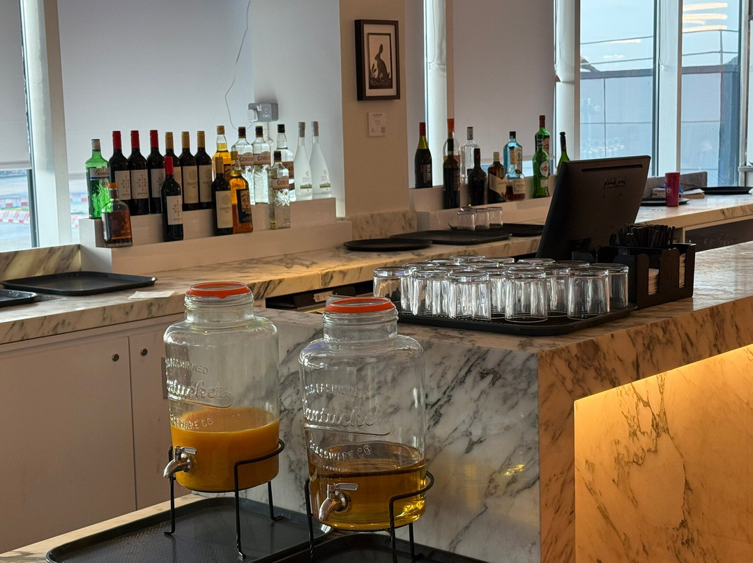 Plaza Premium Lounge Gatwick North Departures-霍利必去景点