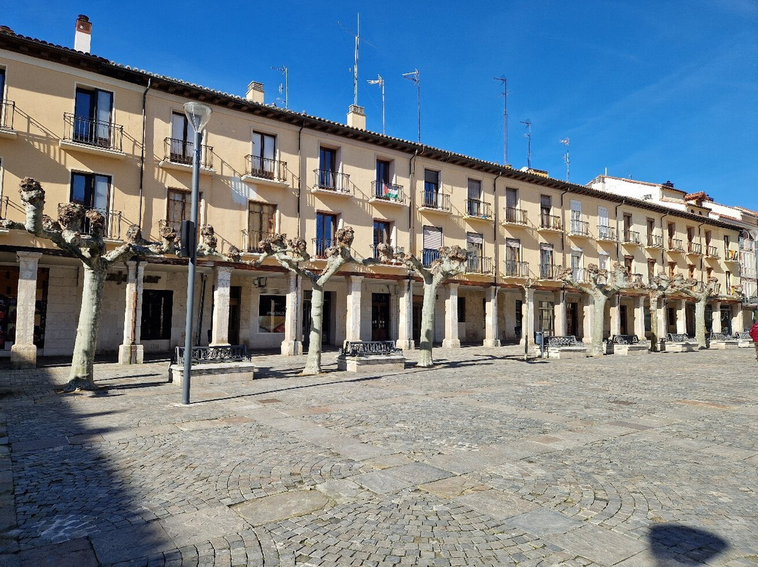 Plaza Mayor de Palencia-帕伦西亚必去景点