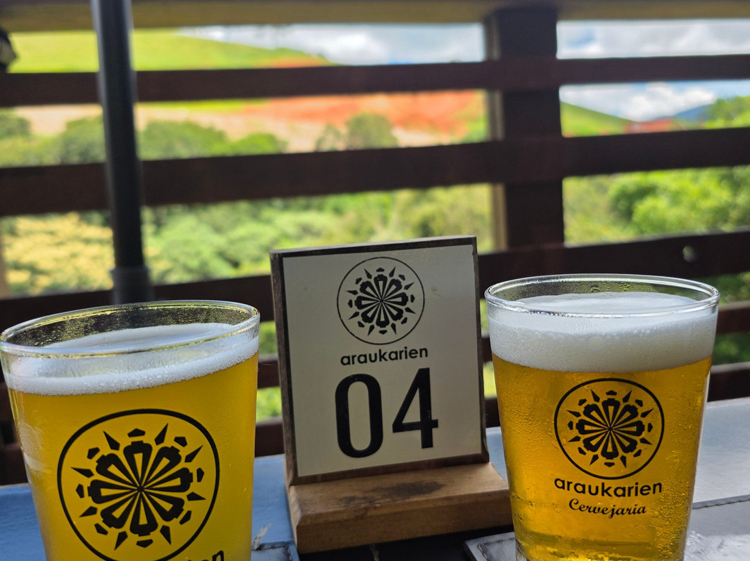 Cervejaria Araukarien-圣安东尼奥杜皮尼亚尔必去景点