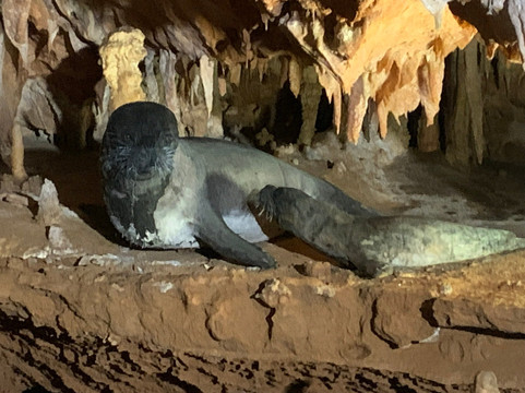 Grotta del Fico-Baunei必去景点