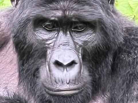 Africa Tours Adventure-坎帕拉必去景点