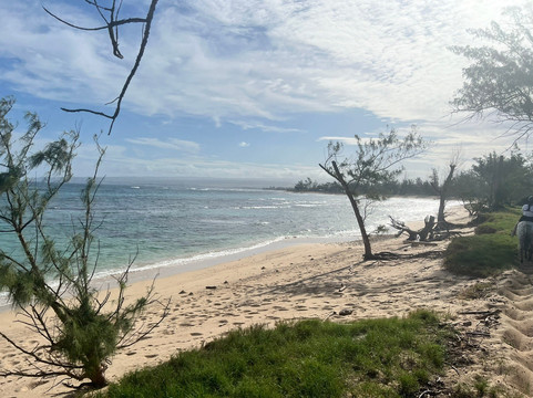 Hawaii Polo Trail Rides-瓦亚禄必去景点