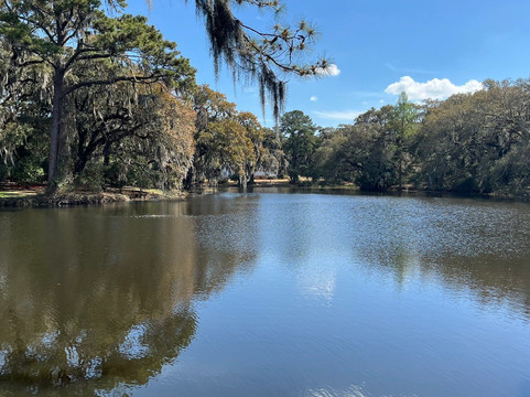 Charles Towne Landing State Historic Site-查尔斯顿必去景点
