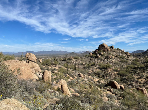 Pinnacle Peak Park-斯科茨代尔必去景点